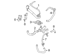 Hose. (Front, Upper, Lower). Engine Water Pump Outlet.