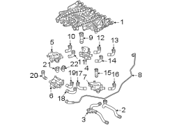 Radiator Coolant Hose