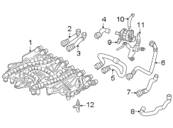 Radiator Coolant Hose