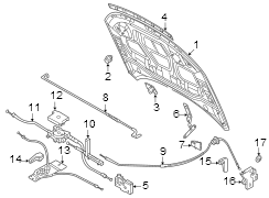 Hood Seal (Front, Rear)