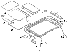 Sunroof Drain Hose (Rear)