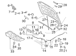 HOOD & COMPONENTS.