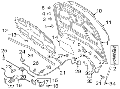 HOOD & COMPONENTS.