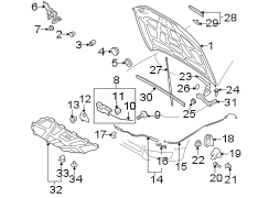 HOOD & COMPONENTS.