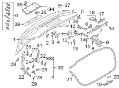 TRUNK LID. LID & COMPONENTS.