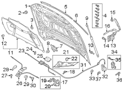 HOOD & COMPONENTS.