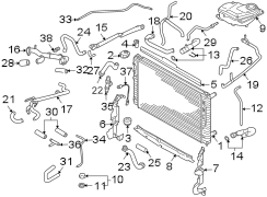 RADIATOR & COMPONENTS. (1/1)