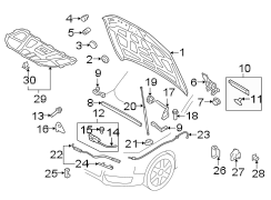 HOOD & COMPONENTS.