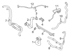 Engine Coolant Overflow Hose