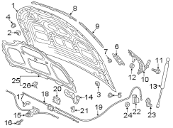 HOOD & COMPONENTS.