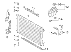 Radiator & components. (1/1)