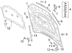 HOOD & COMPONENTS.