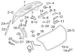 TRUNK LID. LID & COMPONENTS.