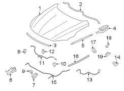 HOOD & COMPONENTS.