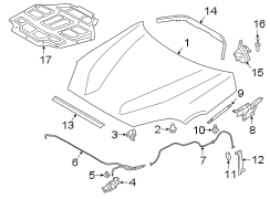 Hood Seal (Front, Rear, Upper)