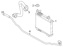 Radiator & components.