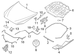 Hood & components.