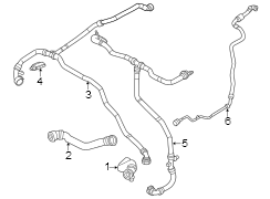 Radiator Coolant Hose (Right, Upper, Lower)