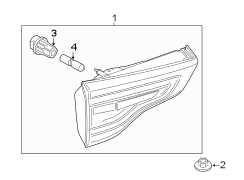 Back Up Light Assembly (Rear)