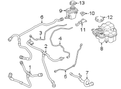 Engine Coolant Hose