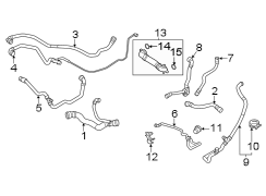 Radiator Coolant Hose