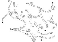 Radiator Hose Clamp (Lower)