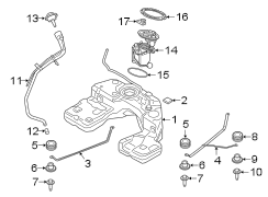 Fuel system components.