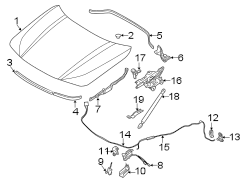 Fender Filler Panel (Right, Upper)