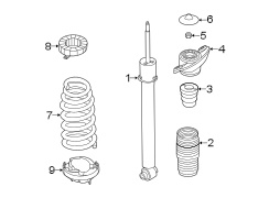 Coil Spring (Rear)