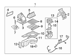 HVAC Blower Case Assembly