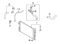 Radiator Coolant Hose (Left, Upper, Lower)