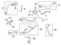 Radiator Coolant Hose (Left, Upper, Lower)