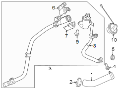 Evaporative Emissions System Lines