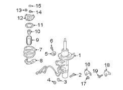 Coil Spring (Front)