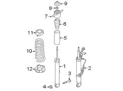 Coil Spring (Rear)