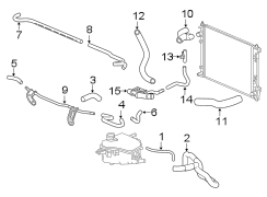 Hoses & lines.