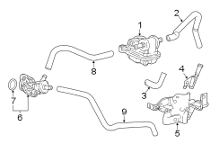 Secondary Air Injection Pump Hose (Upper)