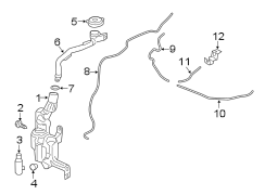 Windshield Washer Hose (Front)