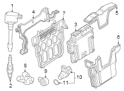 Engine Control Module (ECM). A module in a vehicle.