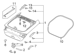 Side Body Trim Protector (Left, Front)