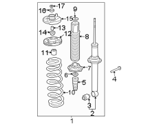 Suspension Strut and Coil Spring Assembly (Rear)