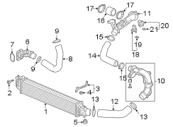 Intercooler Pipe Clamp (Rear)