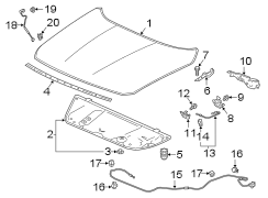 Hood Prop Rod Retainer