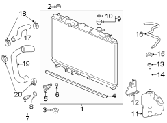 Radiator Coolant Hose (Front, Lower)