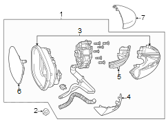 Turn Signal Light Assembly (Left)