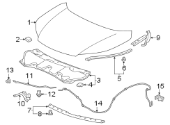 HOOD & COMPONENTS.