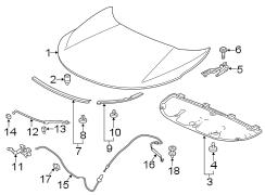 HOOD & COMPONENTS.