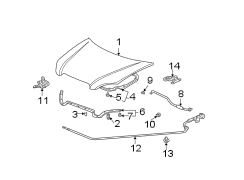 HOOD & COMPONENTS.