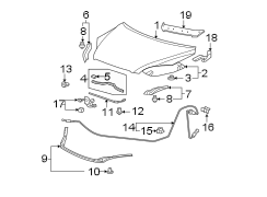 HOOD & COMPONENTS.