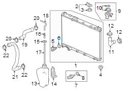 Radiator Coolant Hose (Front, Lower)